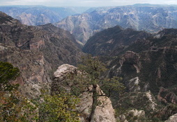 Blick auf die Barrancas del Cobre