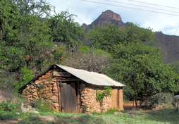 Haus