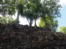 Eindrücke Cobá 3.