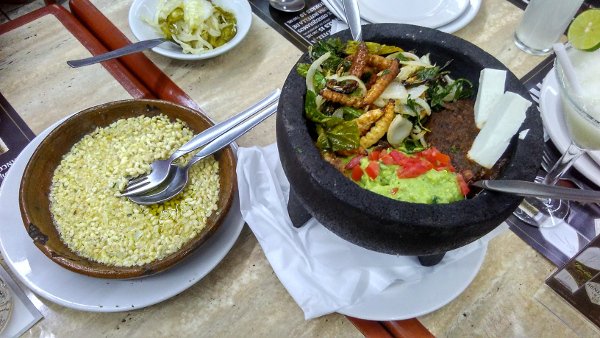 Escamoles im Butter und Molcajete mit Würmern.