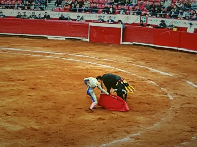 Torero in Aktion.